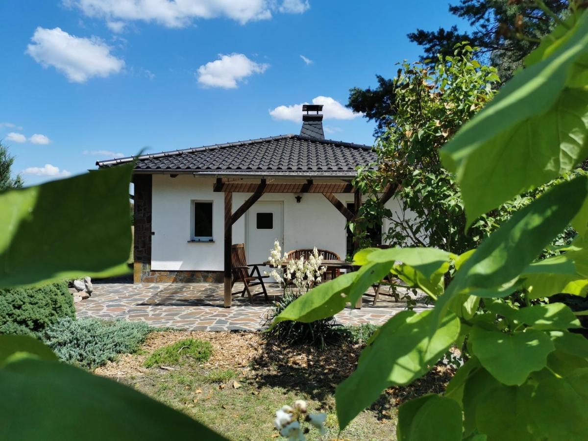 Ferienhaus Hase Bomsdorfer Hof Grafenhainichen Exterior photo